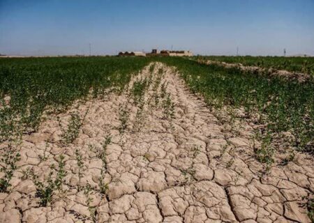 بیش از ۸۰ درصد خاک‌های زراعی خوزستان دچار فقر عناصر غذایی هستند