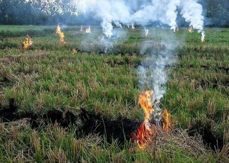 آتش‌زدن مزارع برنج، اصلی‌ترین عامل آلودگی اخیر هوای خوزستان