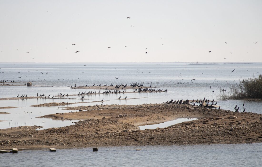 برنامه ریزی برای تامین حقابه تالاب هورالعظیم