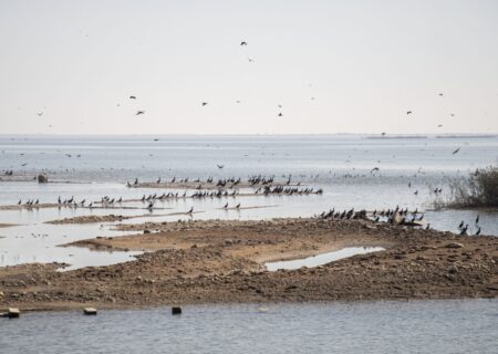 برنامه ریزی برای تامین حقابه تالاب هورالعظیم