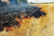 ممنوعیت سوزاندن بقایای گیاهی و کاه و کلش مزارع کشاورزی در خوزستان